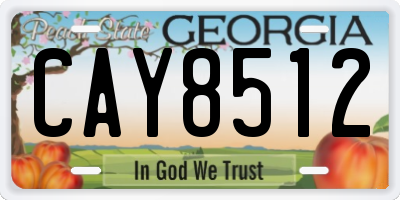 GA license plate CAY8512