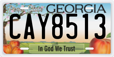 GA license plate CAY8513