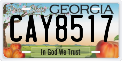 GA license plate CAY8517