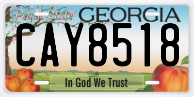 GA license plate CAY8518