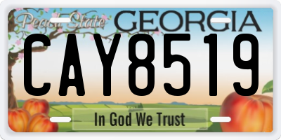 GA license plate CAY8519