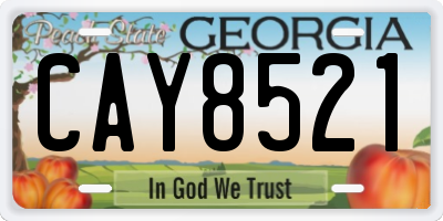 GA license plate CAY8521
