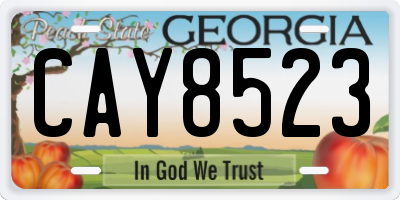 GA license plate CAY8523