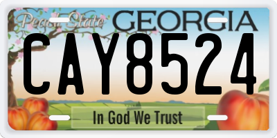GA license plate CAY8524