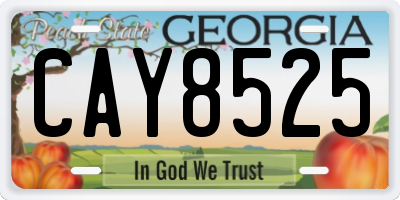 GA license plate CAY8525