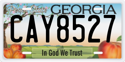 GA license plate CAY8527