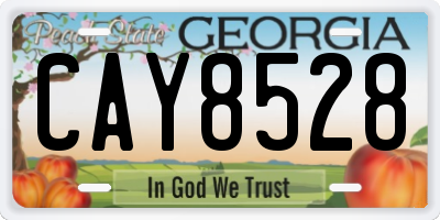 GA license plate CAY8528