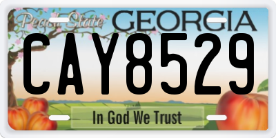 GA license plate CAY8529