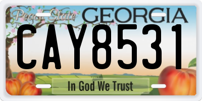 GA license plate CAY8531