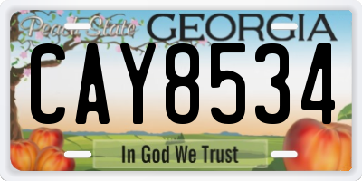 GA license plate CAY8534