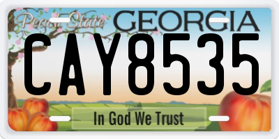 GA license plate CAY8535