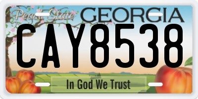 GA license plate CAY8538