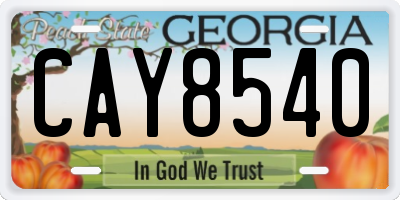 GA license plate CAY8540