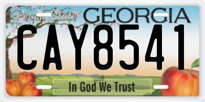 GA license plate CAY8541