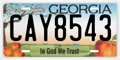GA license plate CAY8543