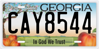 GA license plate CAY8544
