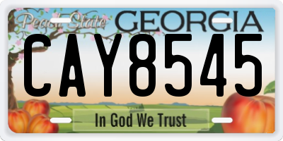 GA license plate CAY8545