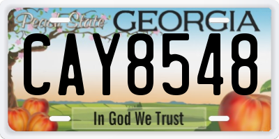 GA license plate CAY8548