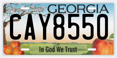 GA license plate CAY8550