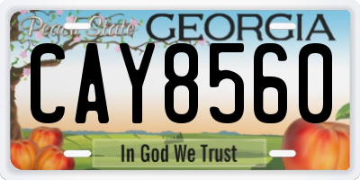 GA license plate CAY8560