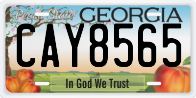 GA license plate CAY8565