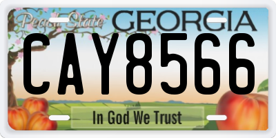 GA license plate CAY8566