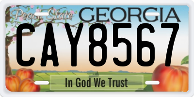 GA license plate CAY8567