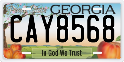 GA license plate CAY8568