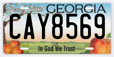GA license plate CAY8569