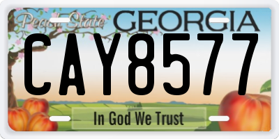 GA license plate CAY8577