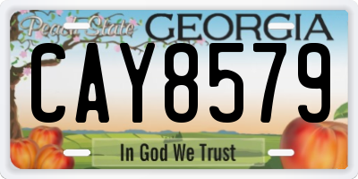 GA license plate CAY8579