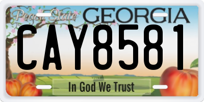GA license plate CAY8581