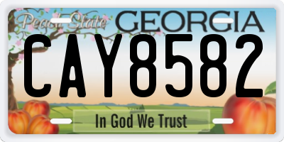 GA license plate CAY8582
