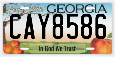 GA license plate CAY8586