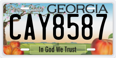 GA license plate CAY8587