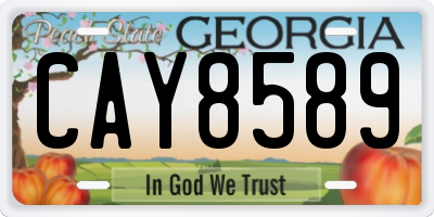 GA license plate CAY8589