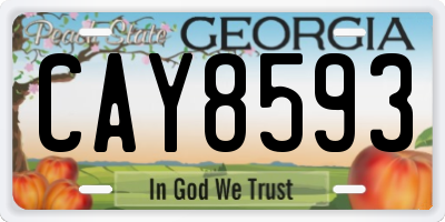 GA license plate CAY8593