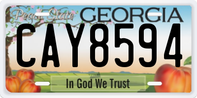 GA license plate CAY8594