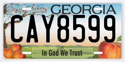 GA license plate CAY8599