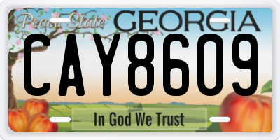 GA license plate CAY8609