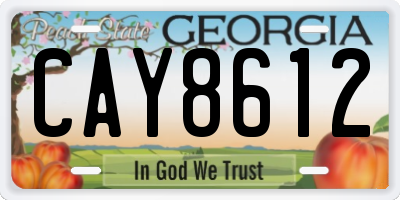 GA license plate CAY8612