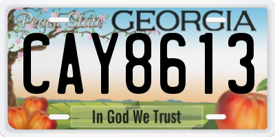 GA license plate CAY8613
