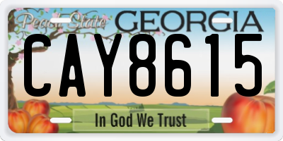 GA license plate CAY8615