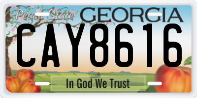 GA license plate CAY8616