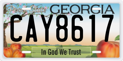 GA license plate CAY8617