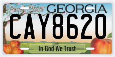 GA license plate CAY8620