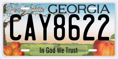GA license plate CAY8622