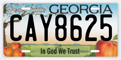 GA license plate CAY8625