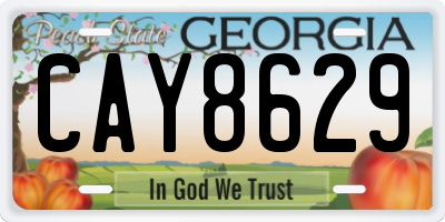 GA license plate CAY8629