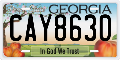 GA license plate CAY8630